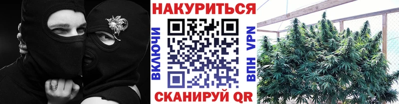 Бошки марихуана сатива  купить  сайты  Княгинино 